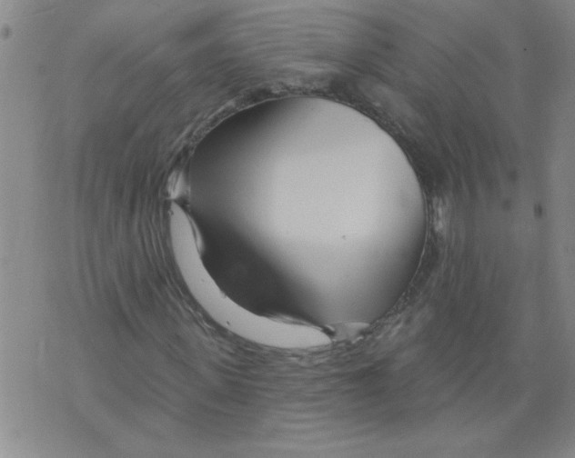 X0000073730915200608311841