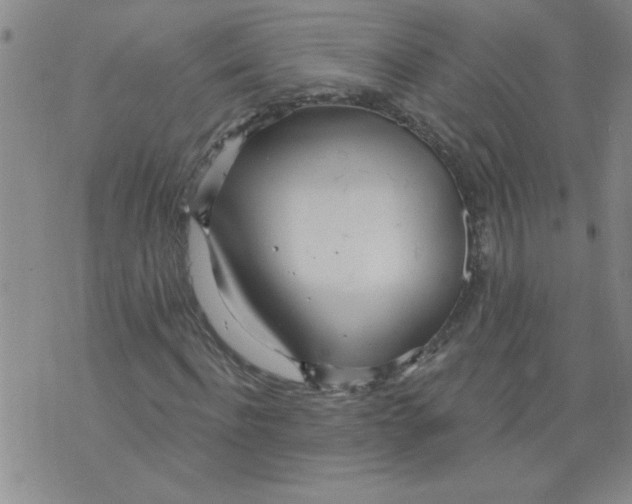 X0000073730916200608311841