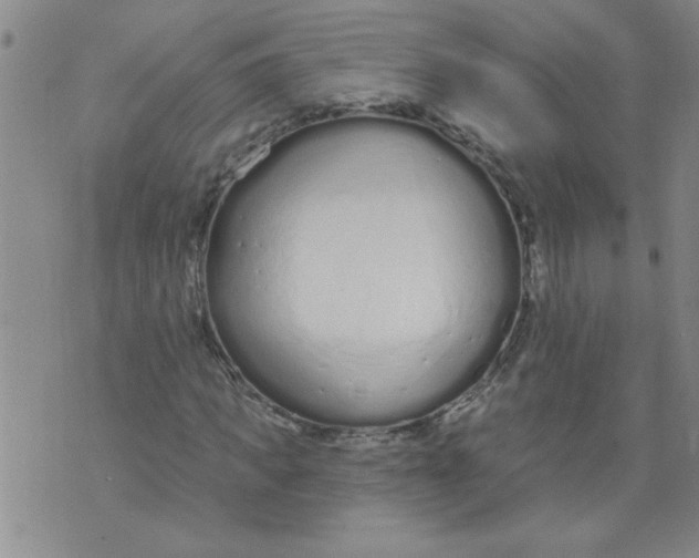 X0000073730917200608311841