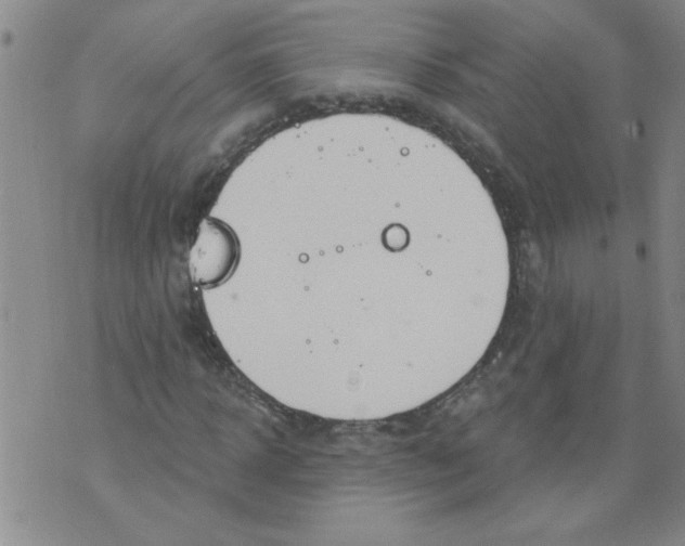 X0000073730918200608311841