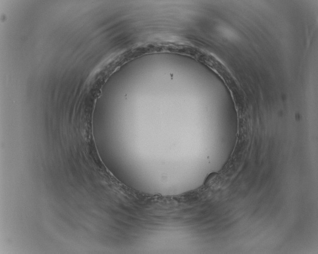 X0000073730919200608311841