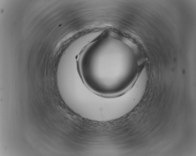 X0000073730920200608311841