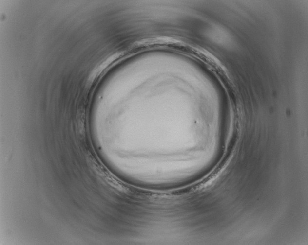 X0000073730921200608311841