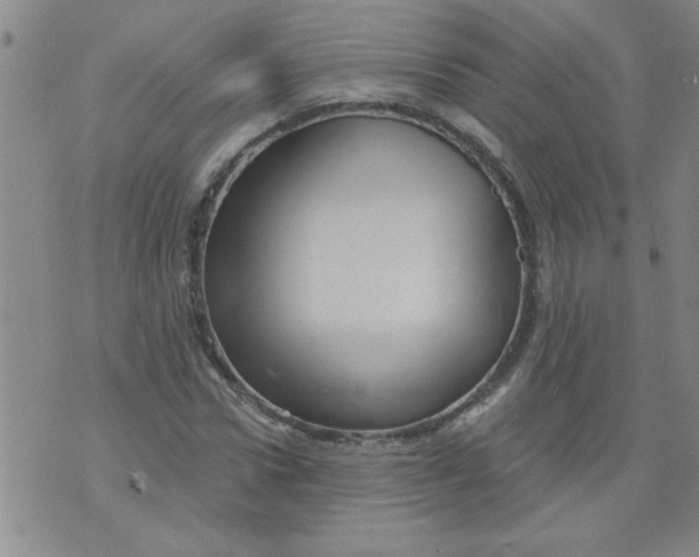 X0000073730922200608311841