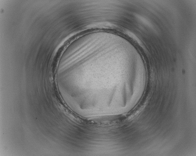 X0000073730923200608311841