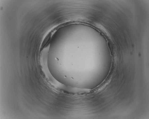 X0000073730924200608311841