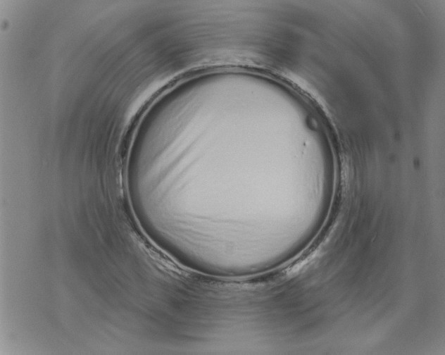 X0000073730925200608311841