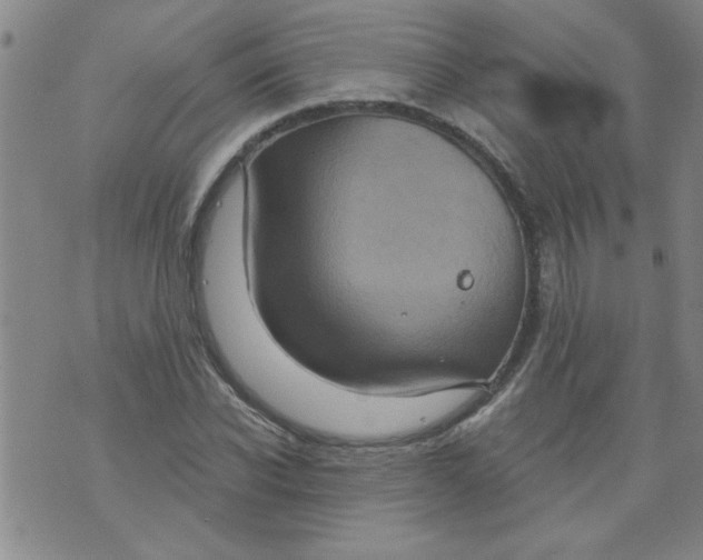 X0000073730926200608311841