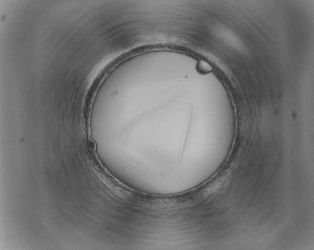 X0000073730927200608311841