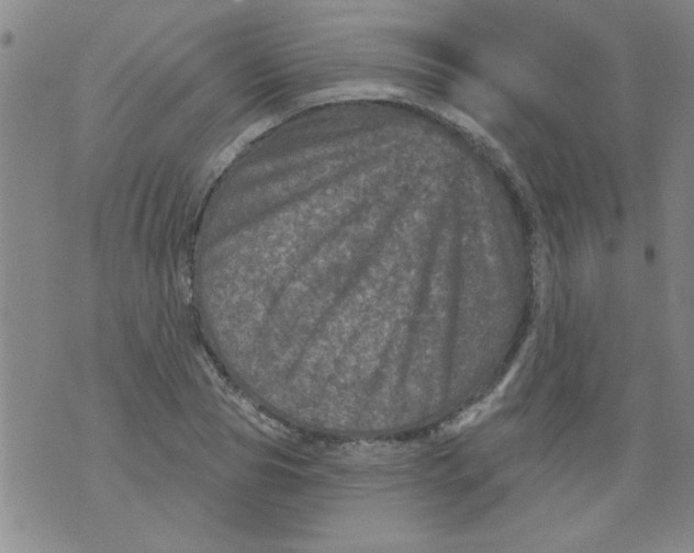 X0000073730929200608311841