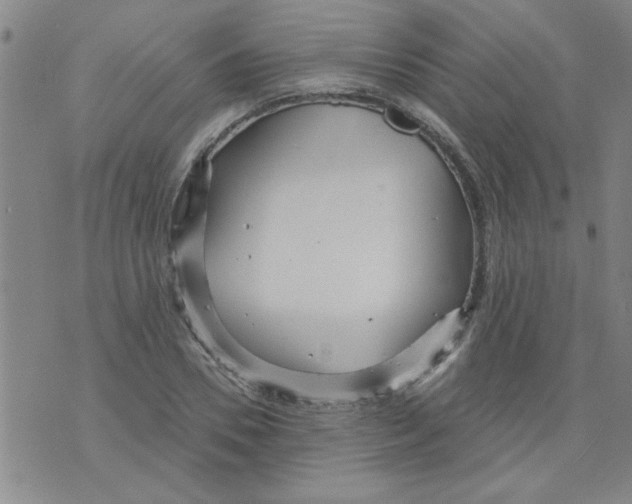 X0000073730930200608311841