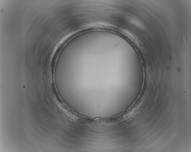 X0000073730931200608311841