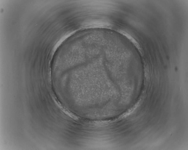 X0000073730933200608311841