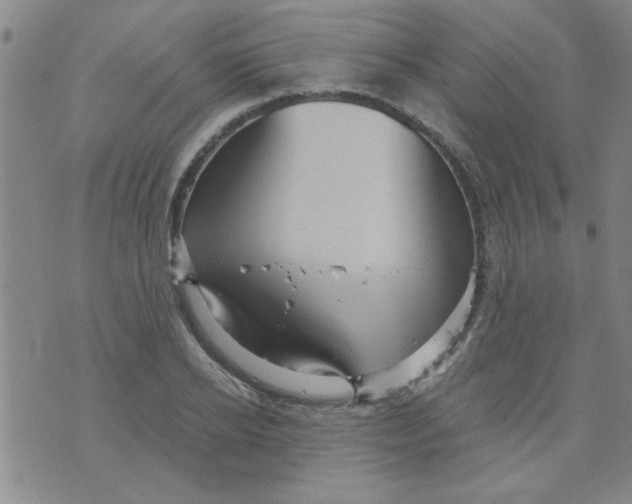 X0000073730934200608311841