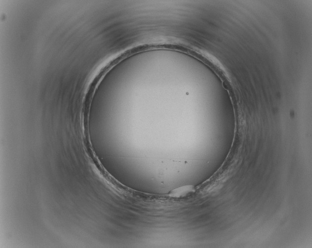 X0000073730935200608311841