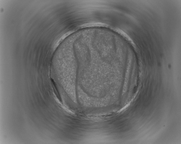 X0000073730937200608311841