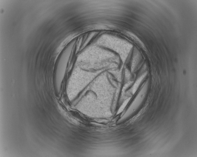 X0000073730938200608311841