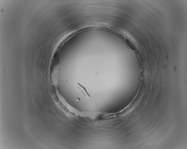 X0000073730940200608311841