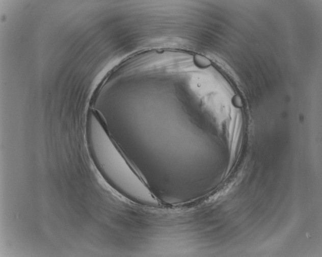 X0000073730941200608311841