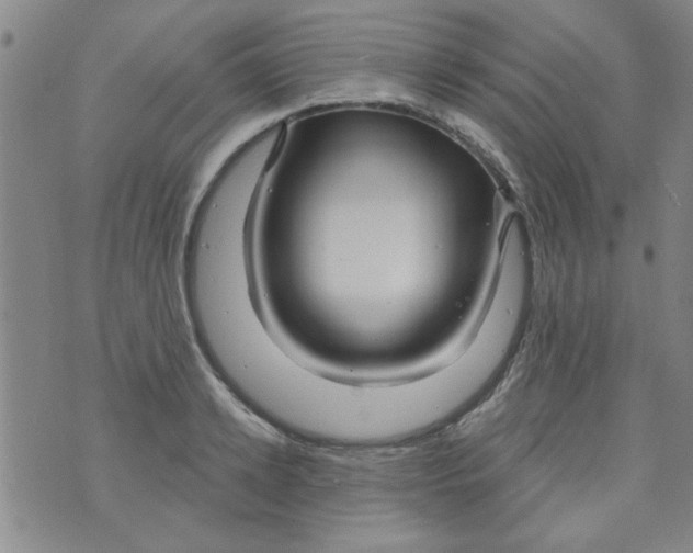 X0000073730942200608311841