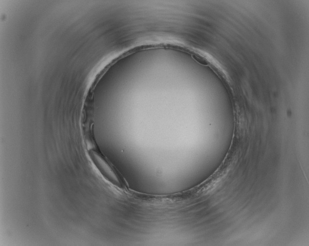 X0000073730943200608311841