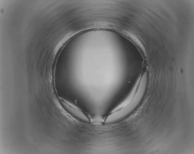 X0000073730944200608311841