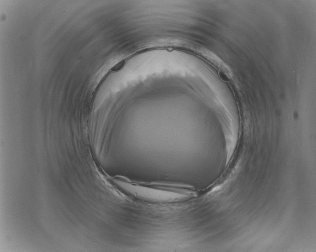 X0000073730945200608311841