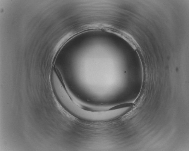 X0000073730946200608311842