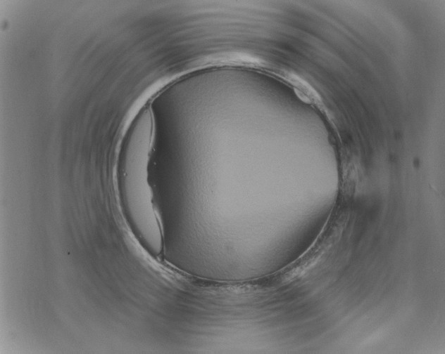 X0000073730947200608311842