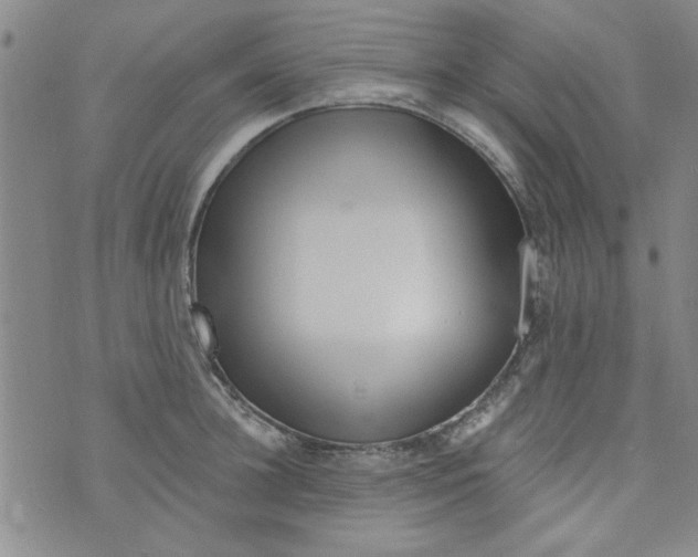 X0000073730948200608311842