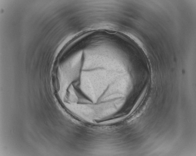 X0000073730949200608311842