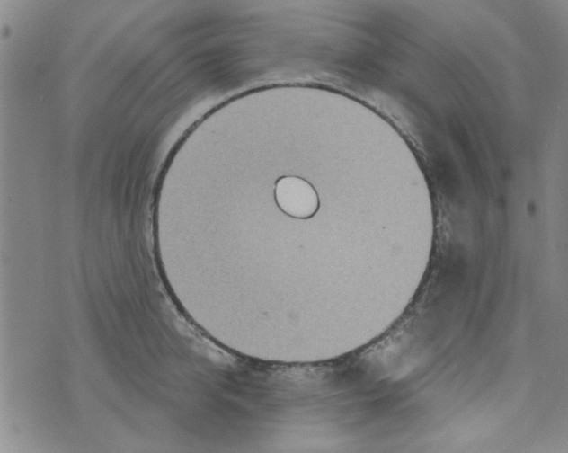 X0000073730950200608311842