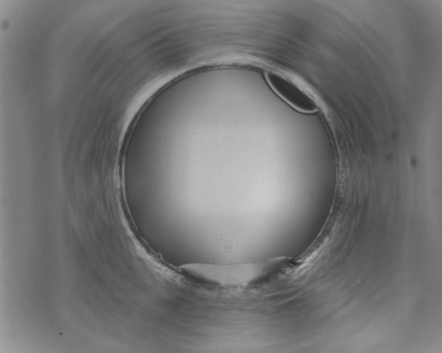 X0000073730951200608311842