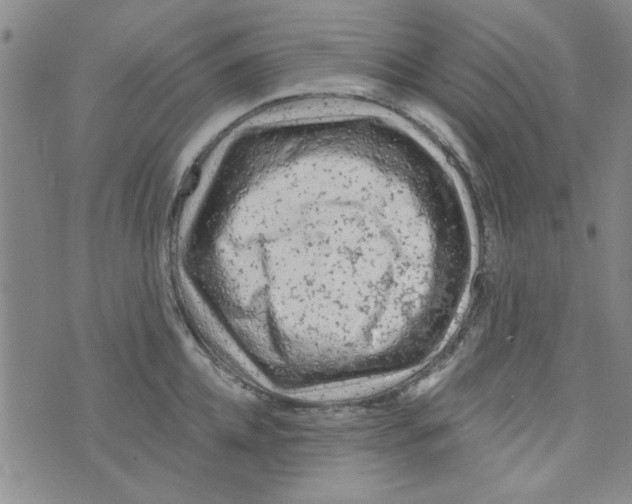 X0000073730952200608311842