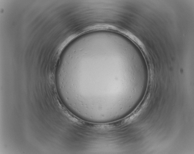 X0000073730953200608311842