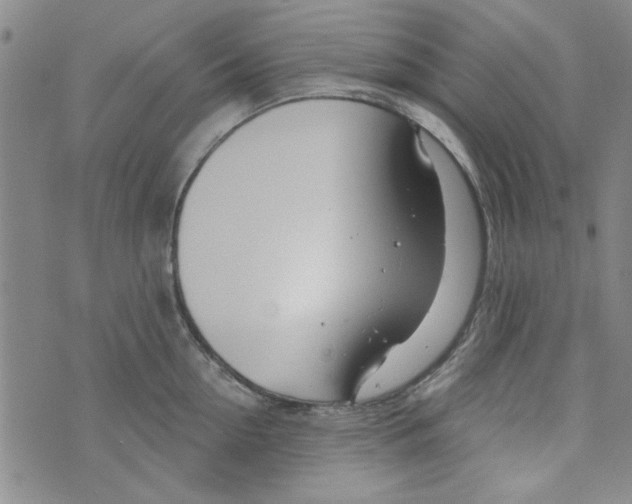 X0000073730954200608311842