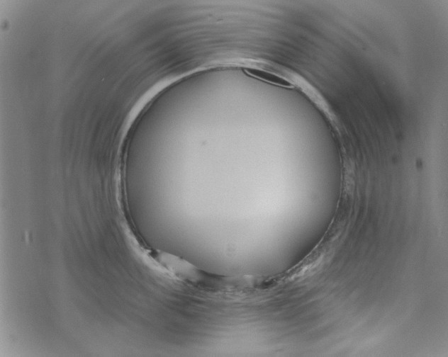 X0000073730955200608311842