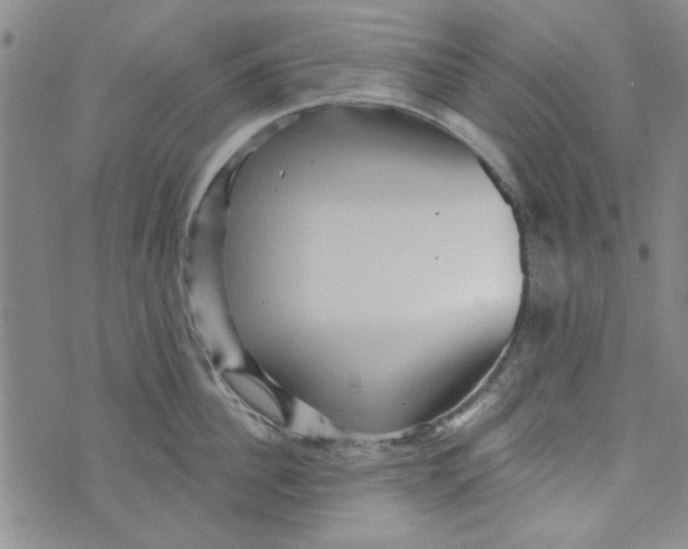 X0000073730956200608311842