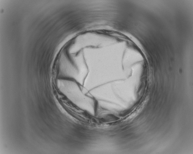 X0000073730957200608311842