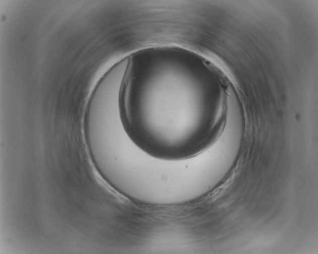 X0000073730958200608311842