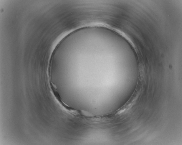 X0000073730959200608311842