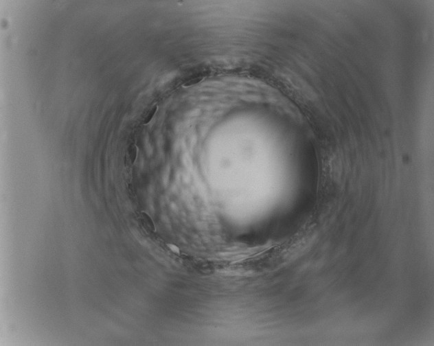 X0000073730961200608311841