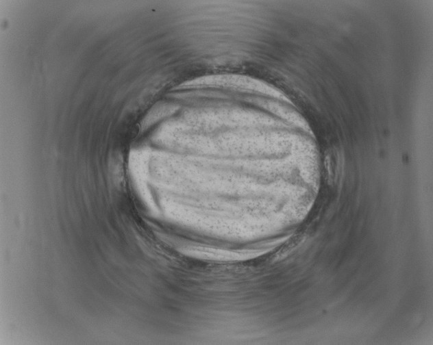 X0000073730963200608311841