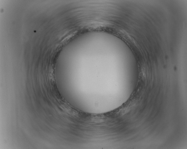 X0000073730964200608311841