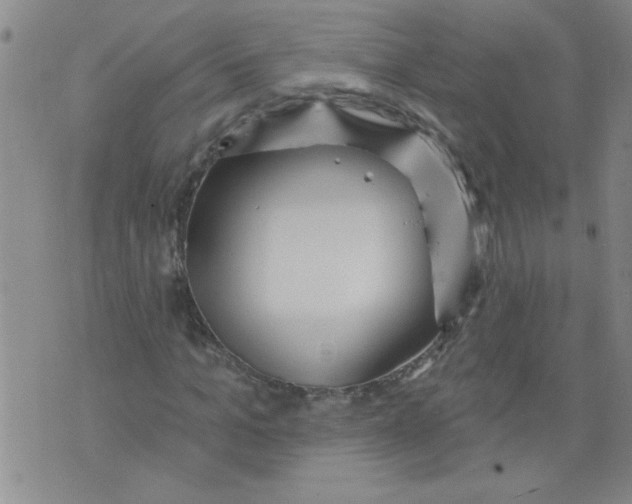 X0000073730965200608311841