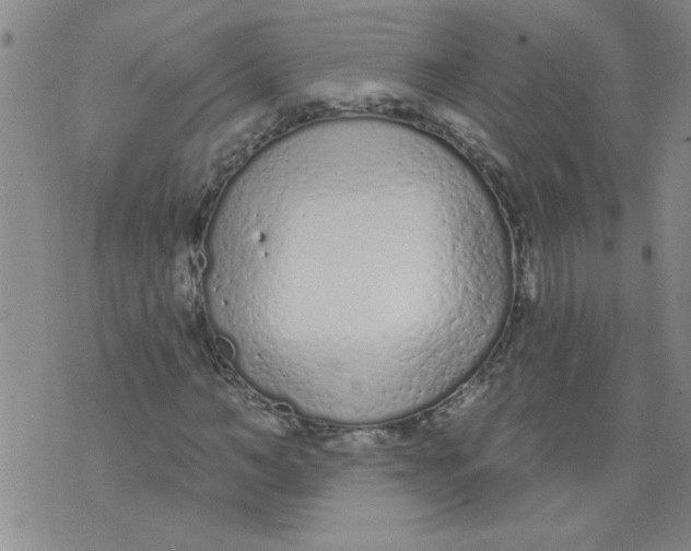 X0000073730966200608311841