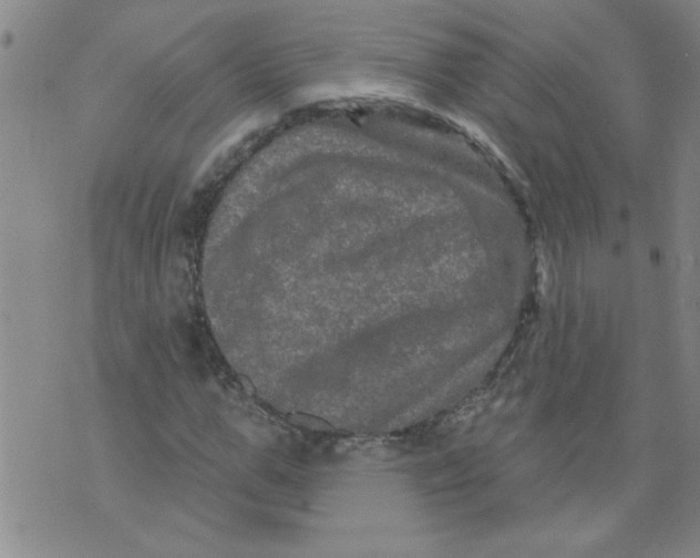 X0000073730967200608311841