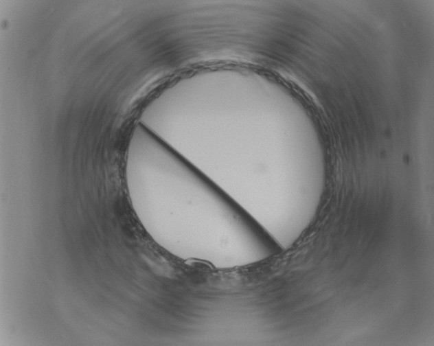 X0000073730968200608311841