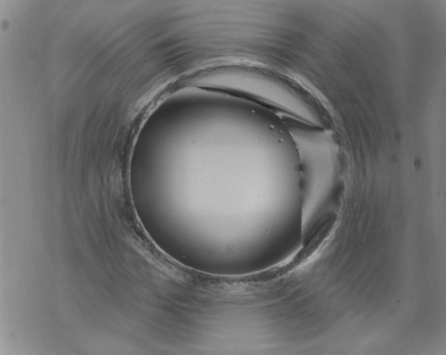 X0000073730969200608311841