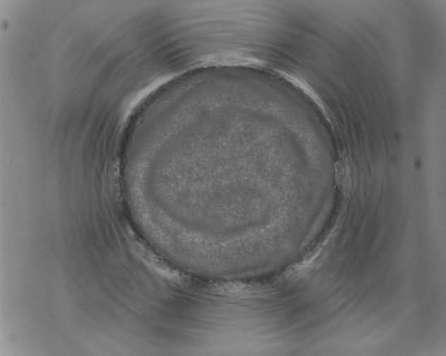 X0000073730971200608311841